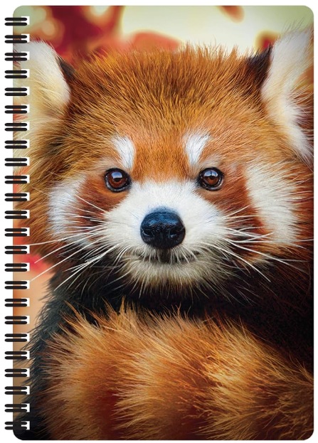 3D Baby Red Panda Notebook