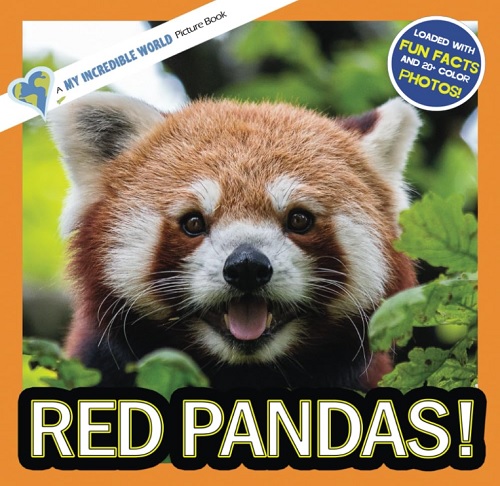 Red Pandas! My Incredible World Picture Book