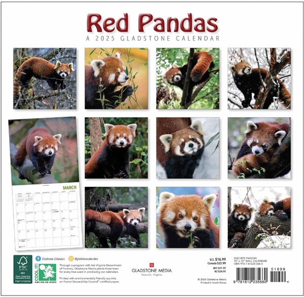 Photos of Red Pandas 2025 Wall Calendar Gladstone Media