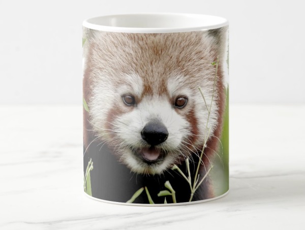 Smiling Red Panda Coffee Mug