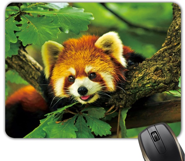 Red Panda Forest Mouse Pad