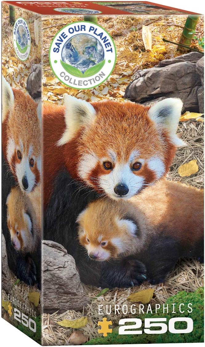 Eurographics Red Pandas Puzzle